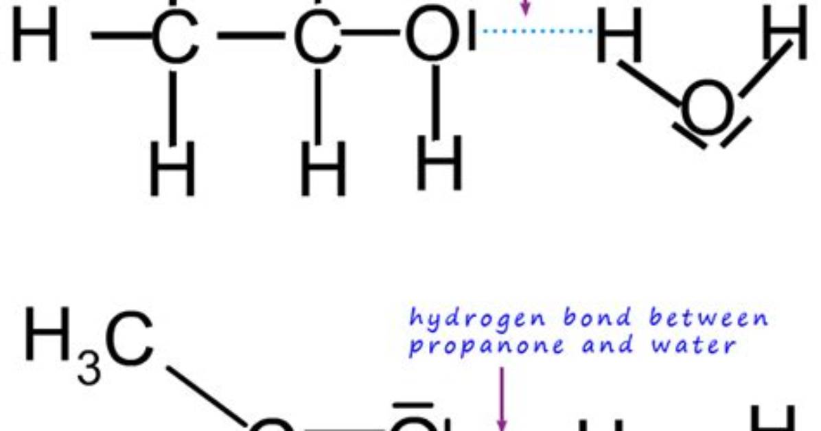 Can Propanone Hydrogen Bond with Water?