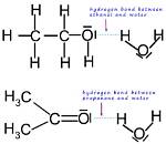 Can Propanone Hydrogen Bond with Water?