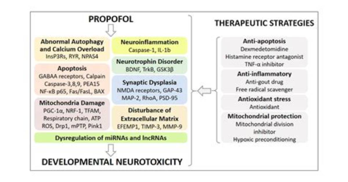 Can Propofol Cause Agitation?