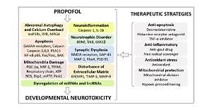 Can Propofol Cause Agitation?
