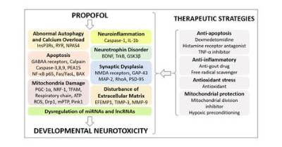 Can Propofol Cause Agitation?