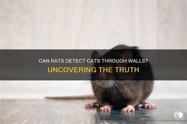 Can Rats Smell Cats Through Walls?