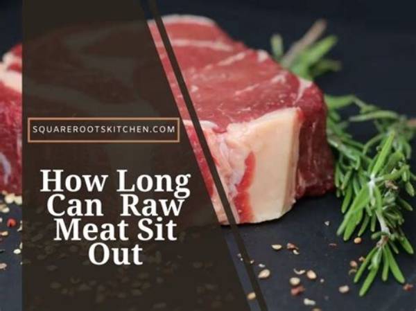 Can Raw Meat Sit out for 4 Hours?