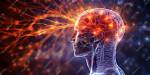 Can Sertraline Damage Your Brain?