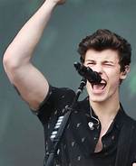 Can Shawn Mendes Sing High Notes?