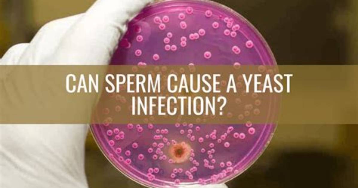 Can Sperms Cause Yeast Infection?