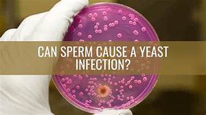Can Sperms Cause Yeast Infection?