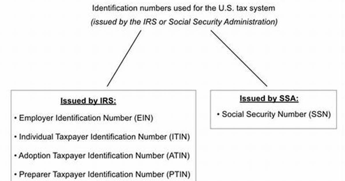 Can Tax Id and Ssn Be the Same?