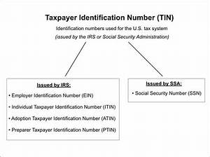 Can Tax Id and Ssn Be the Same?