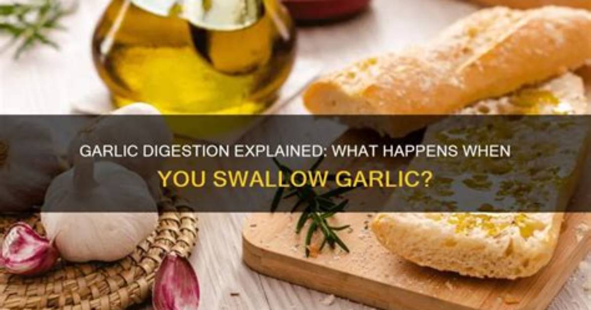 Can the Body Digest Garlic?