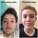 Can Turning Vegan Make You Ill?