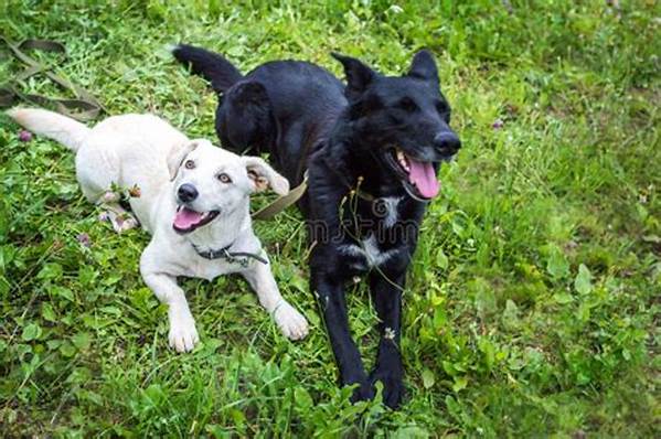 Can Two Black Dogs Have a White Puppy?