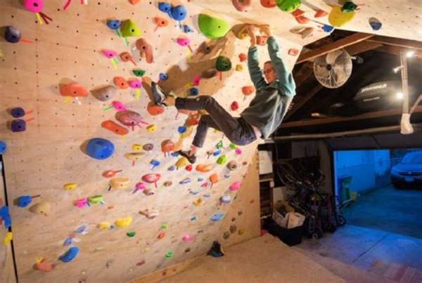 Can You Build Your Own Climbing Wall?