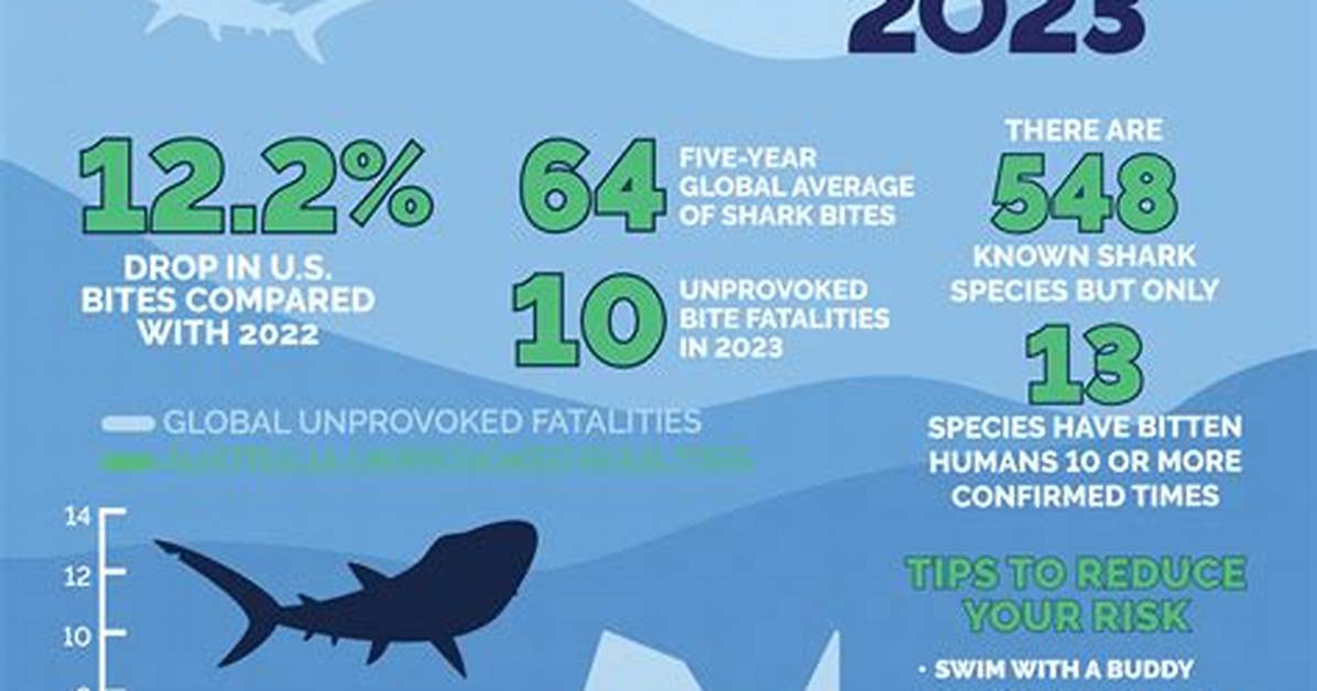 Can You Bury Shark Bites?
