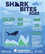 Can You Bury Shark Bites?