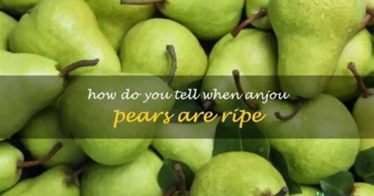 Can You Can Anjou Pears?