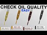 Can You Check Oil When Motor Is Hot?