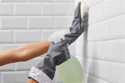 Can You Clean Walls with Bleach?