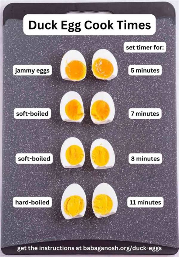Can You Cook and Eat Duck Eggs?