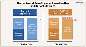 Can You Deduct Llc Losses?