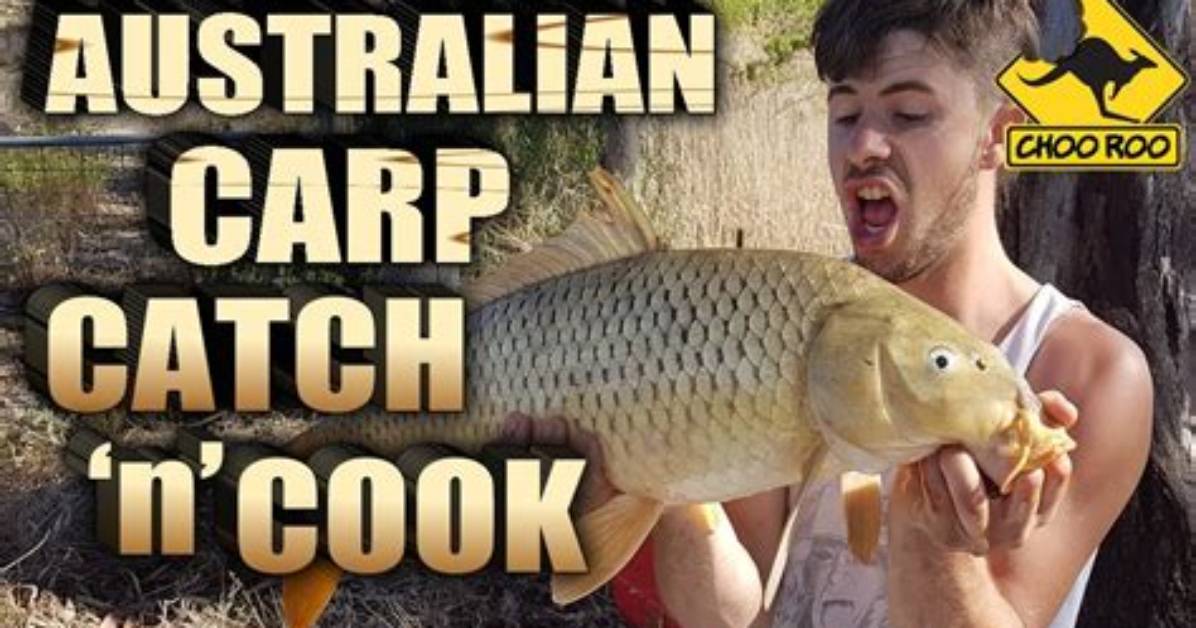 Can You Eat Carp in Australia?