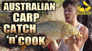 Can You Eat Carp in Australia?