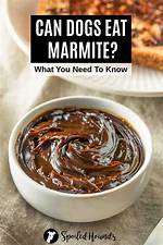 Can You Eat Old Marmite?