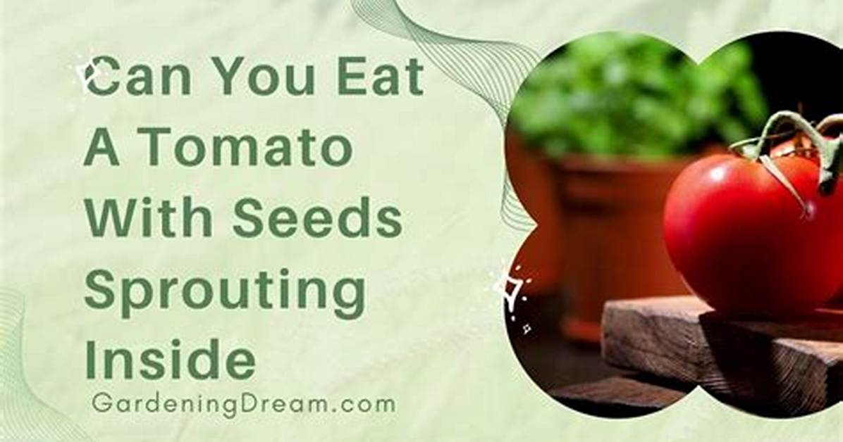 Can You Eat Tomatoes If You Have Hemochromatosis?