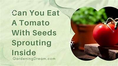 Can You Eat Tomatoes If You Have Hemochromatosis?