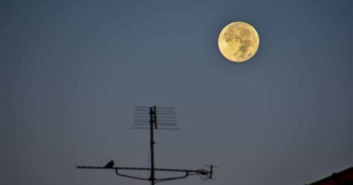 Can You Fall off the Moon?