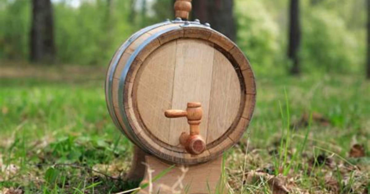 Can You Ferment Wood?