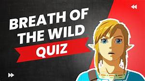 Can You Get a Girlfriend in Botw?