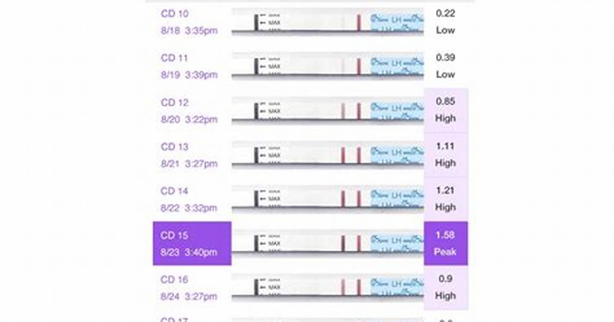 Can You Get Pregnant If Ovulation Test Is Negative?