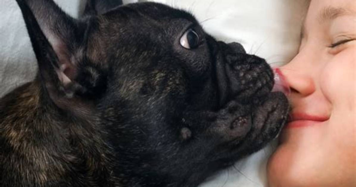 Can You Get Sick from Dog Licking Your Mouth?