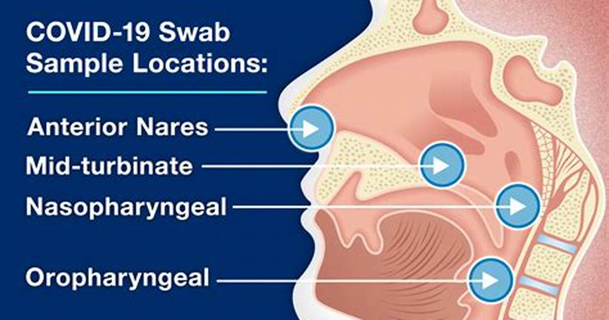 Can You Just Swab Nose for Covid Test?
