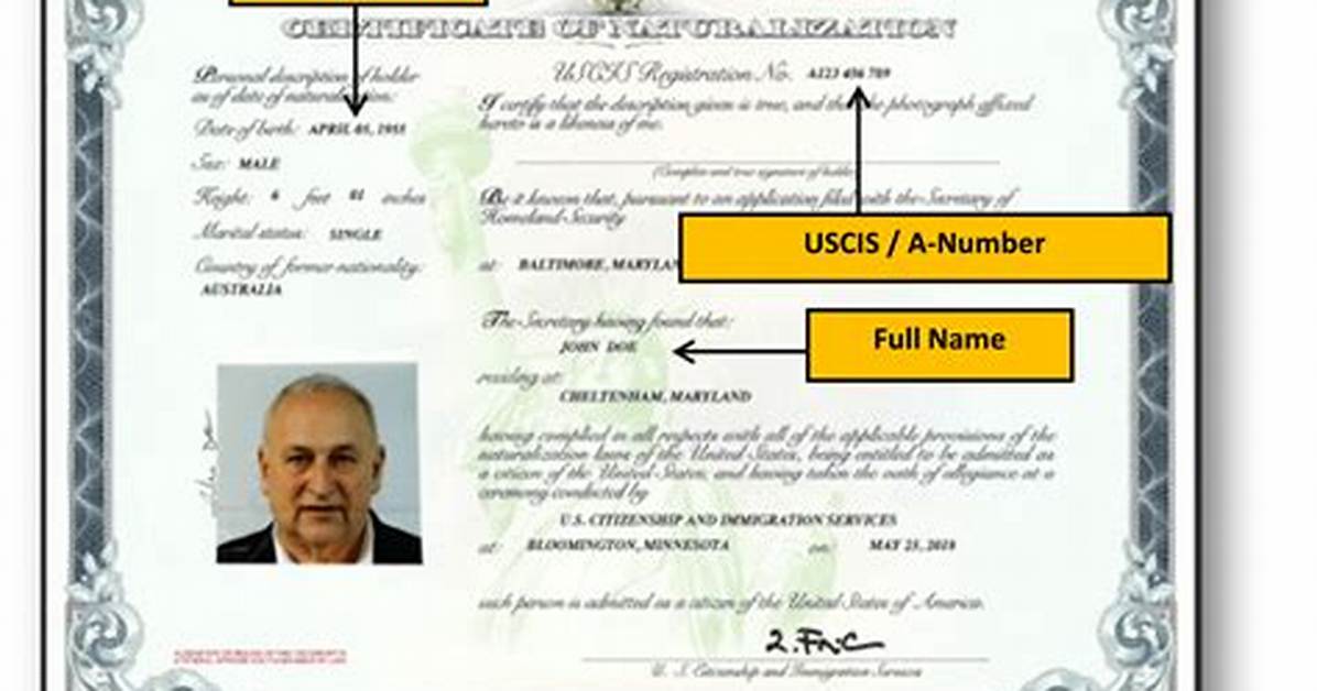Can You Look up Us Citizenship?