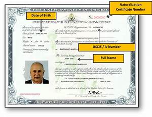 Can You Look up Us Citizenship?