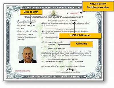Can You Look up Us Citizenship?