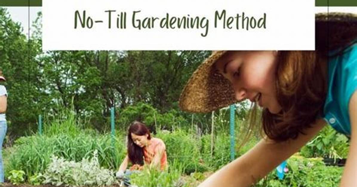 Can You Plant Directly into Compost?