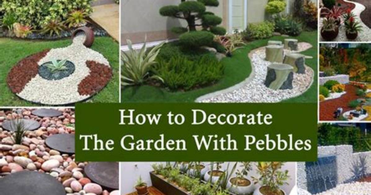 Can You Put Pebbles on Top of Soil?
