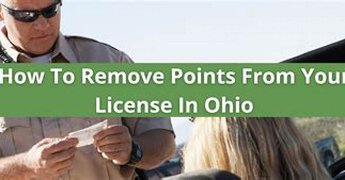 Can You Remove Points from Your License Florida?