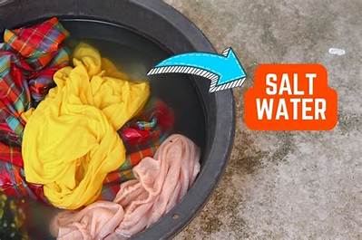 Can You Soak Money in Water?
