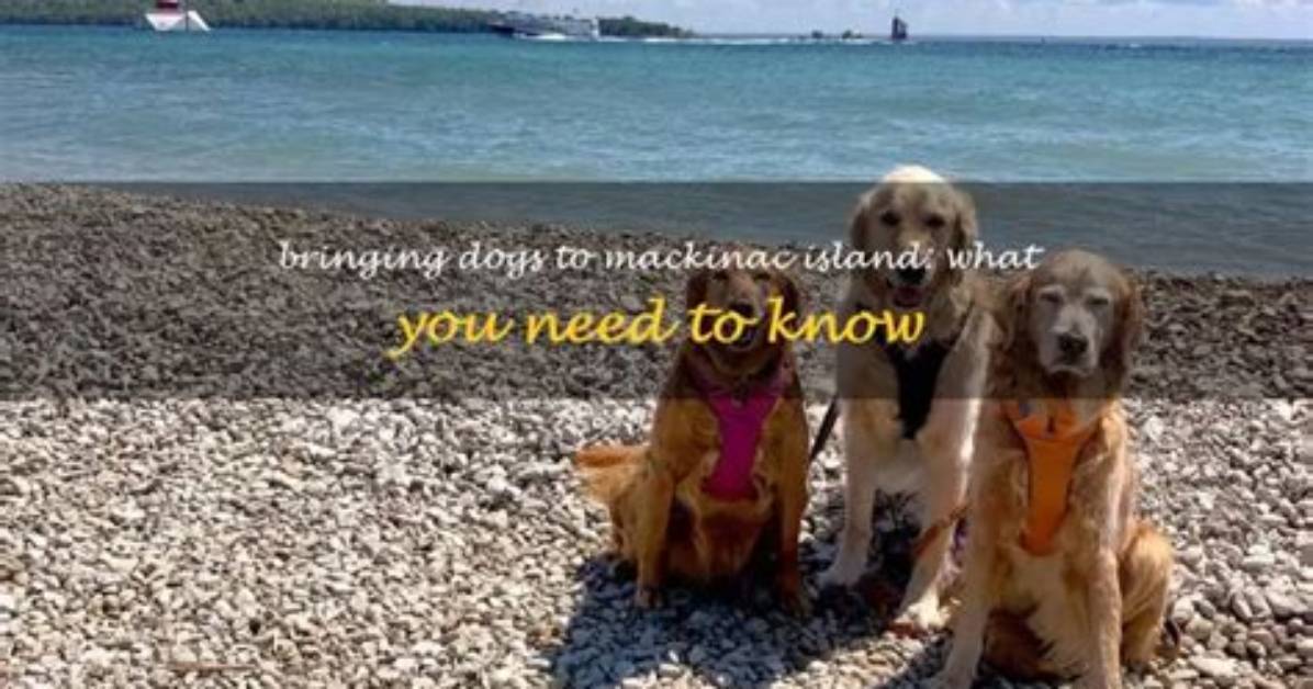 Can You Take Dogs to Mackinac Island?