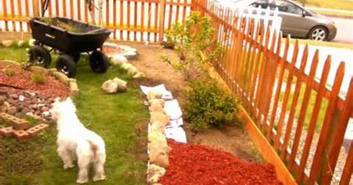 Can You Use Newspaper Instead of Landscape Fabric?