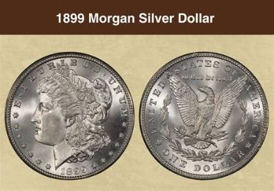 Can You Use Silver Dollars in Stores?