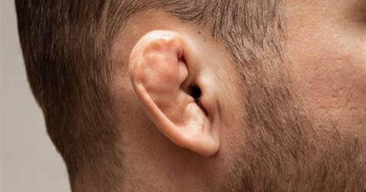 Can Your Ear Grow Back?