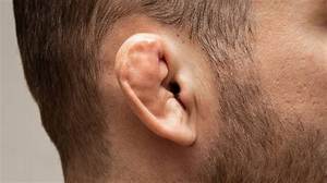 Can Your Ear Grow Back?