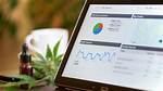 Cannabis Seo Companies: Your Ultimate Guide to Boosting Cannabis Business Online