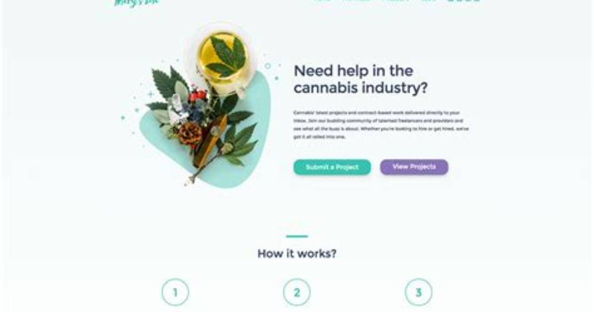 Cannabis Website Design: Elevating Your Brand in the Cannabis Industry