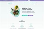 Cannabis Website Design: Elevating Your Brand in the Cannabis Industry